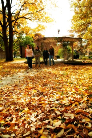 Fall07.jpg