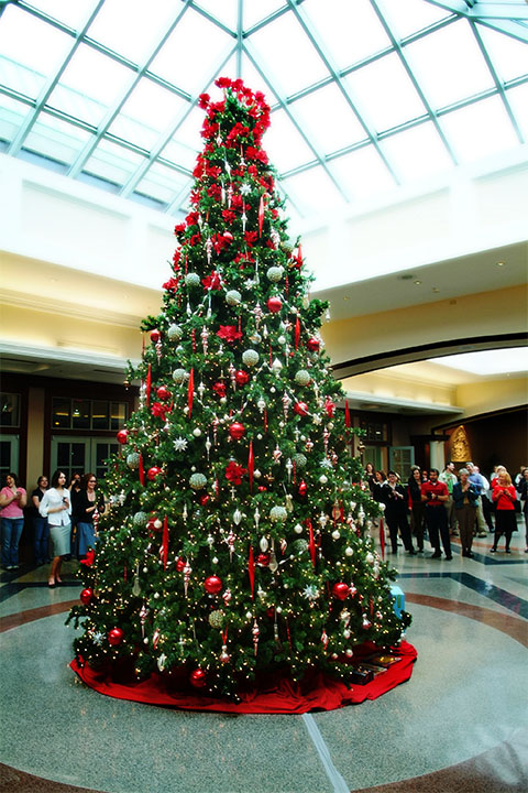 tree.jpg