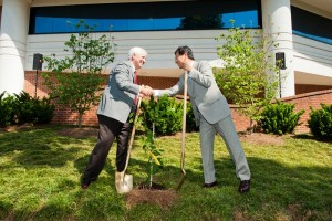 The Consulate-General of Japan in Nashville recently donated a Japanese cherry blossom tree to Belmont University to commemorate the 100th anniversary of the gift of cherry blossom trees from Japan to the United States. The tree was one of 20 trees donated this year in Tennessee to celebrate the centennial anniversary of the first cherry tree gifts. Those trees were planted on the Tidal Basin in West Potomac Park in Washington, D.C. The trees have been a symbol of the continued close relationship between the two countries. The tree donated to Belmont and planted near the Leu Visual Arts building is a direct offspring of the Yoshino cherry trees.